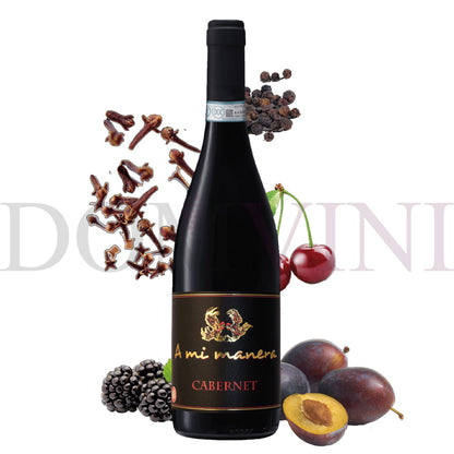 Cabernet IGT Veneto 2021 "A MI MANERA®"