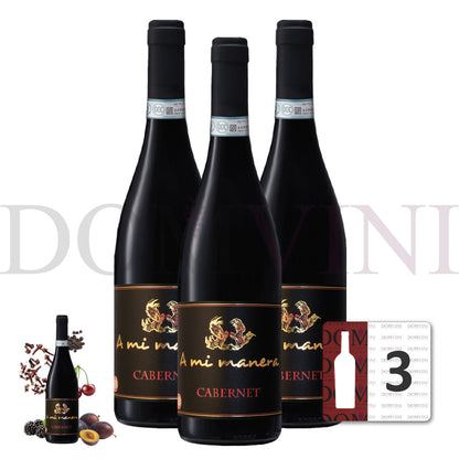 Cabernet IGT Veneto 2021 "A MI MANERA®" - 3er-Weinpaket