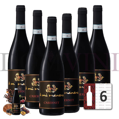 Cabernet IGT Veneto 2021 "A MI MANERA®" - 6er-Weinpaket