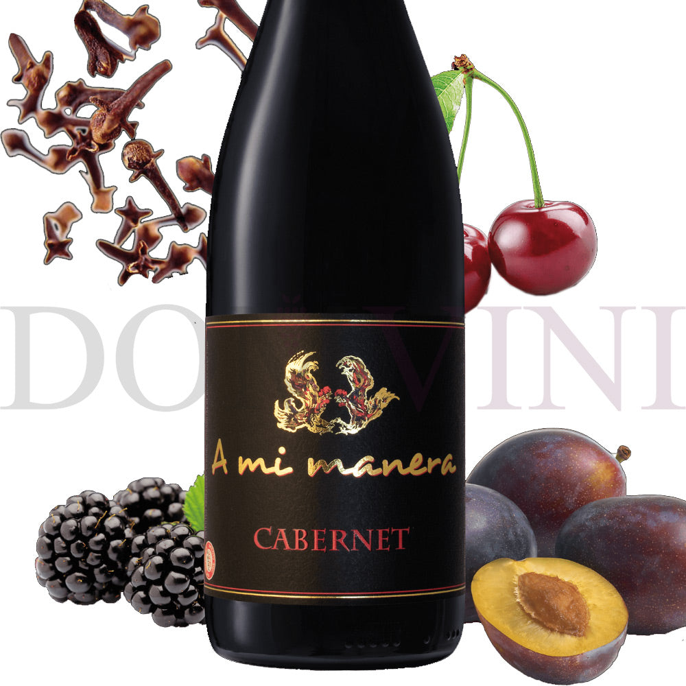 Cabernet IGT Veneto 2021 "A MI MANERA®"