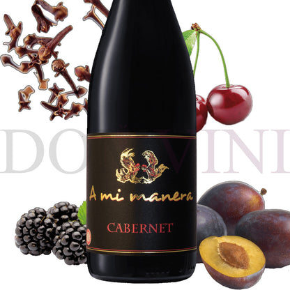 Cabernet IGT Veneto 2021 "A MI MANERA®"
