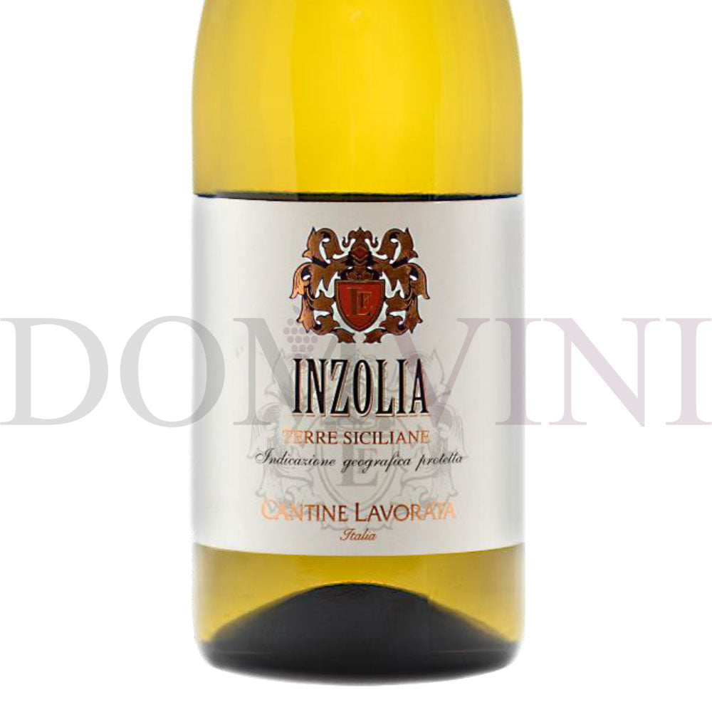 Inzolia IGP Terre Siciliane 2023, Cantine Lavorata - 3er Weinpaket