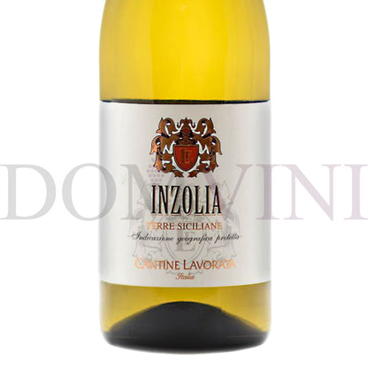 Inzolia IGP Terre Siciliane 2023, Cantine Lavorata - 24er Weinpaket