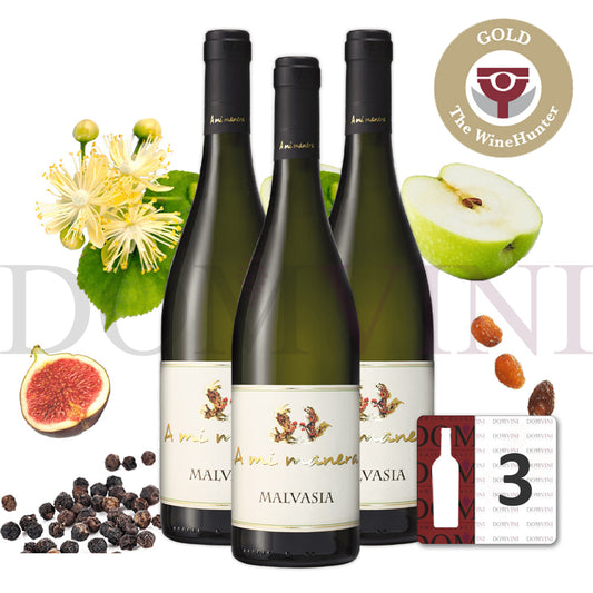 "MALVASIA" IGT Veneto 2023 - TENUTA VITIVINICOLA "A MI MANERA®" 3er-Weinpaket