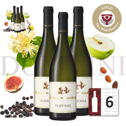 "MALVASIA" IGT Veneto 2023 - TENUTA VITIVINICOLA "A MI MANERA®" 6er-Weinpaket