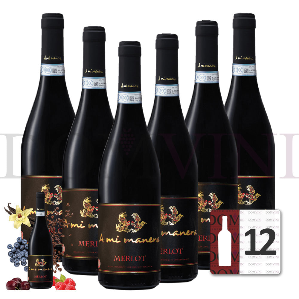Merlot IGT Veneto 2020 "A MI MANERA®" - 12er Weinpaket