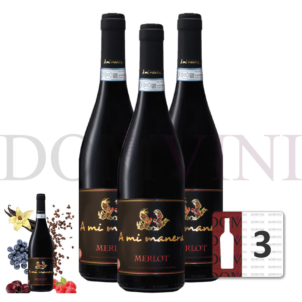 Merlot IGT Veneto 2020 "A MI MANERA®" - 3er Weinpaket