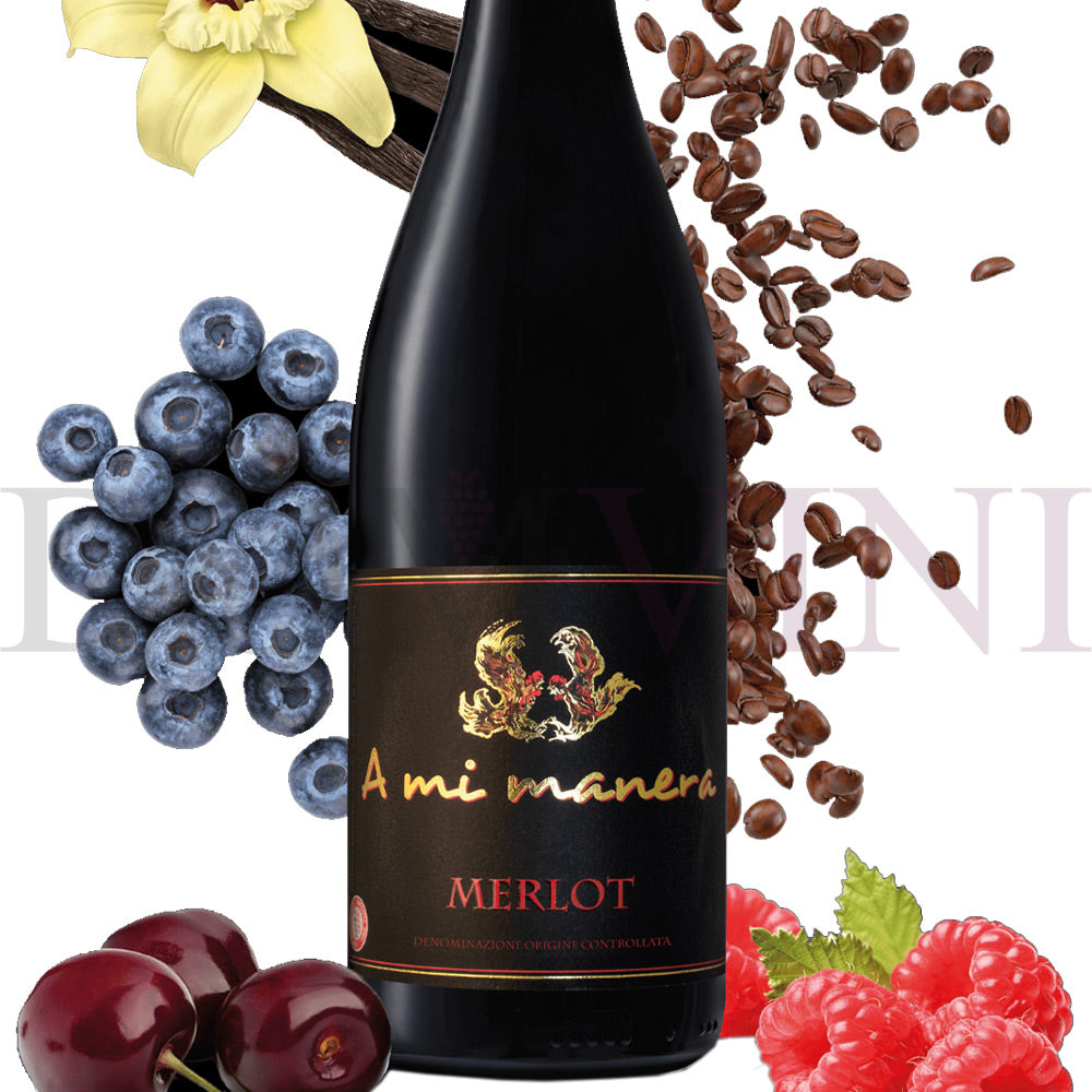 Merlot IGT Veneto 2020 "A MI MANERA®" - 3er Weinpaket