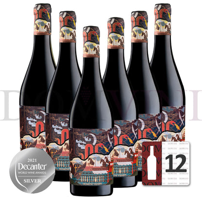 Appassimento Rosso Veneto IGT Passito 2023 (Marco Polo Edition), DOMINI VENETI  - 12er Weinpaket