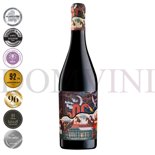 Appassimento Rosso Veneto IGT Passito 2024 (Marco Polo Edition), DOMINI VENETI