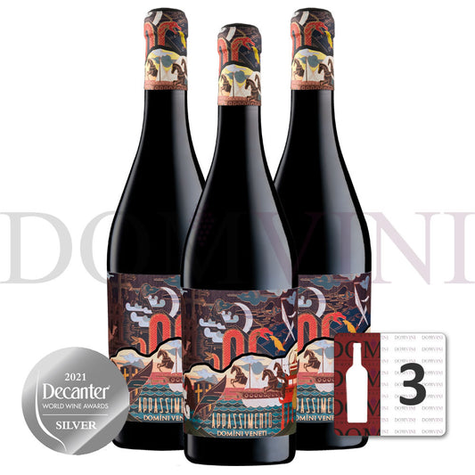 Appassimento Rosso Veneto IGT Passito 2023 (Marco Polo Edition), DOMINI VENETI  - 3er Weinpaket