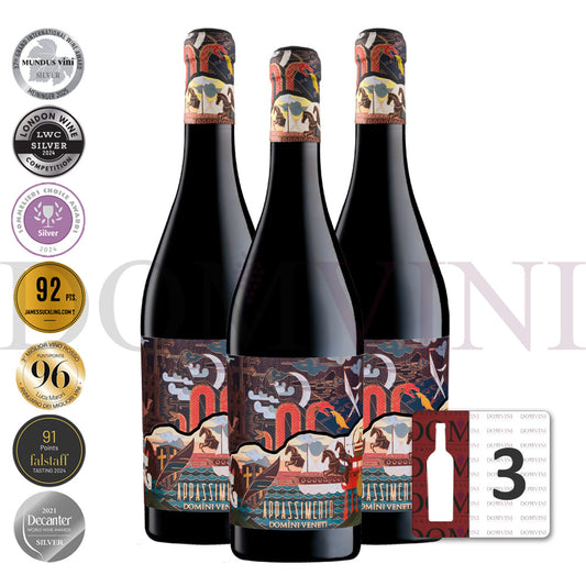 Appassimento Rosso Veneto IGT Passito 2024 (Marco Polo Edition), DOMINI VENETI  - 3er Weinpaket