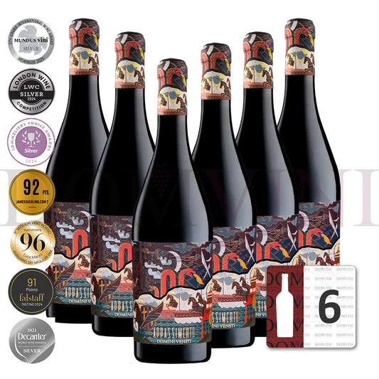 Appassimento Rosso Veneto IGT Passito 2024 (Marco Polo Edition), DOMINI VENETI  - 6er Weinpaket