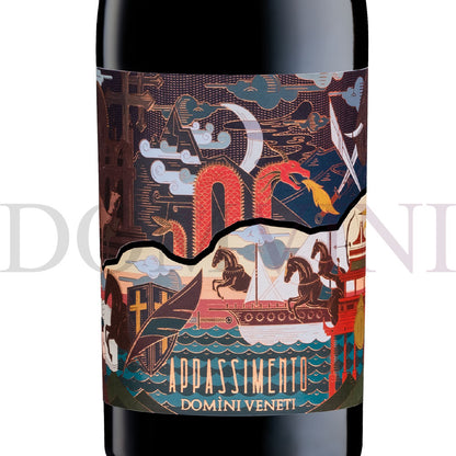 Appassimento Rosso Veneto IGT Passito 2023 (Marco Polo Edition), DOMINI VENETI