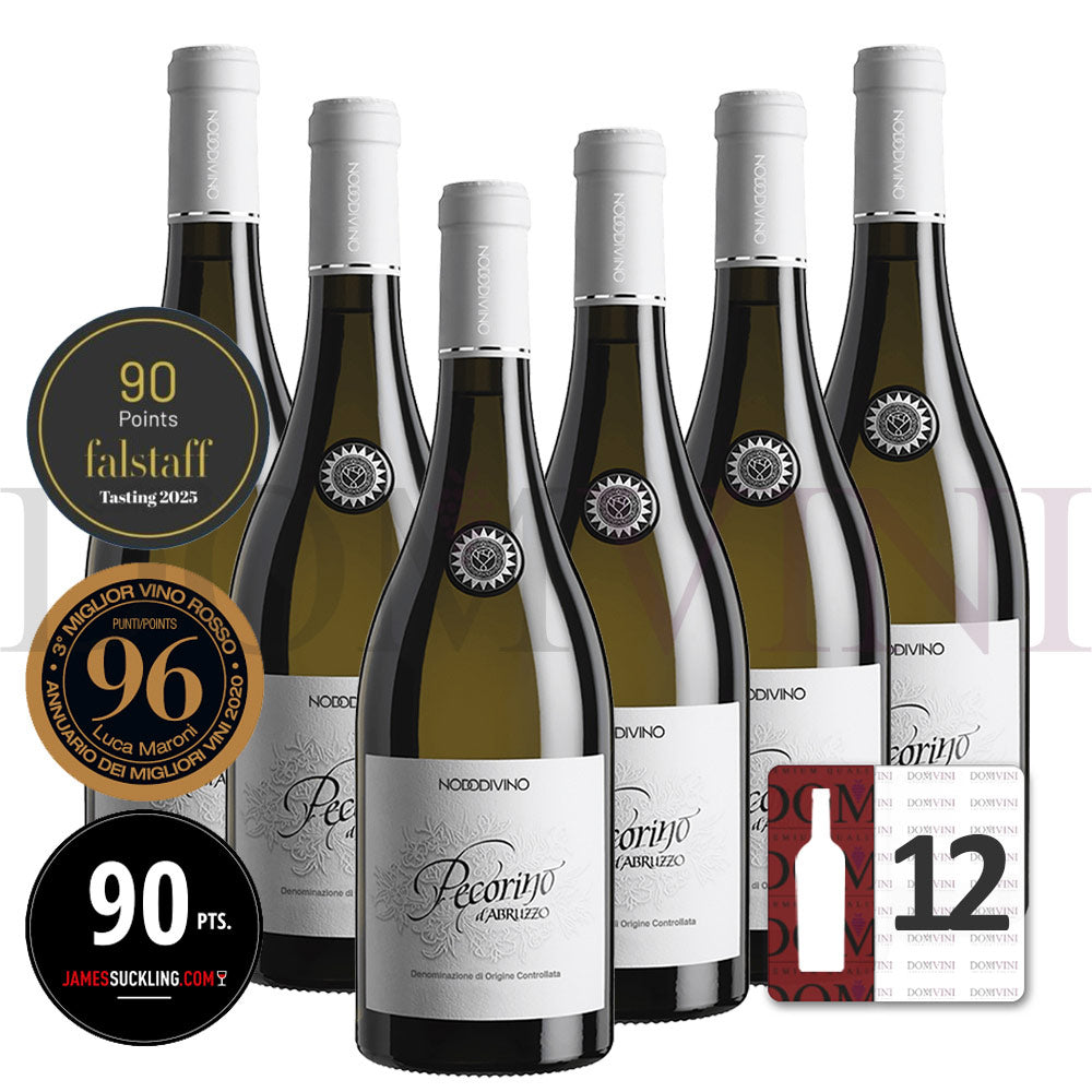 Abruzzo DOC Pecorino 2024 - NODODIVINO (12er Weinpaket)