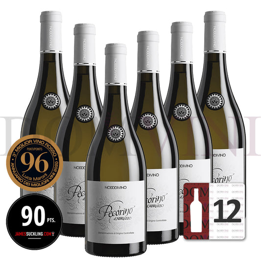 Abruzzo DOC Pecorino 2024 - NODODIVINO (12er Weinpaket)