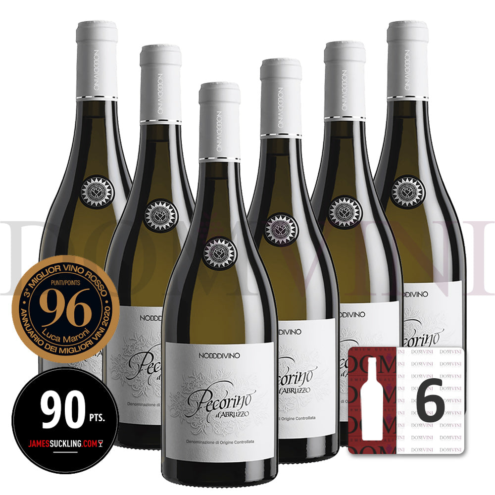 Abruzzo DOC Pecorino 2024 - NODODIVINO (6er Weinpaket)