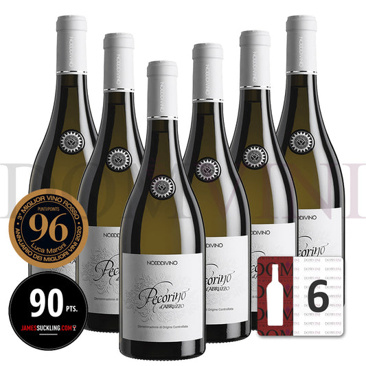 Abruzzo DOC Pecorino 2024 - NODODIVINO (6er Weinpaket)