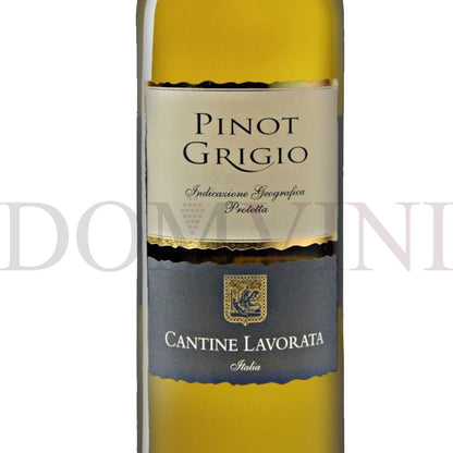 Pinot Grigio IGP Terre Siciliane 2023 - Cantine Lavorata