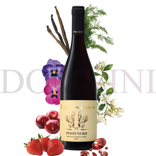 "PINOT NERO" IGT Veneto 2023 - TENUTA VITIVINICOLA "A MI MANERA®"