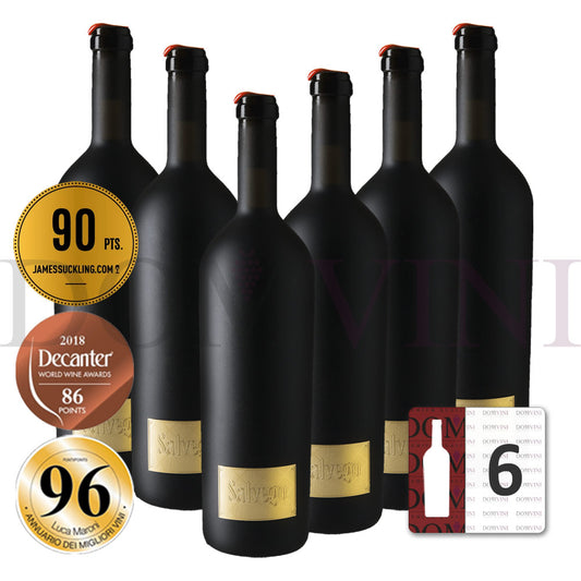 Salvego Rosso Verona IGT 2018, TINAZZI - 6er Weinpaket