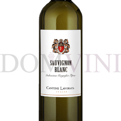 Sauvignon Blanc IGT Terre Siciliane 2023, Cantine Lavorata