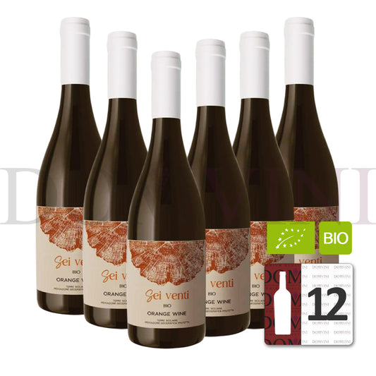 SEI VENTI "Orange" 2024 IGP Biowein - OCCIDUO - 12er Weinpaket (Kopie)