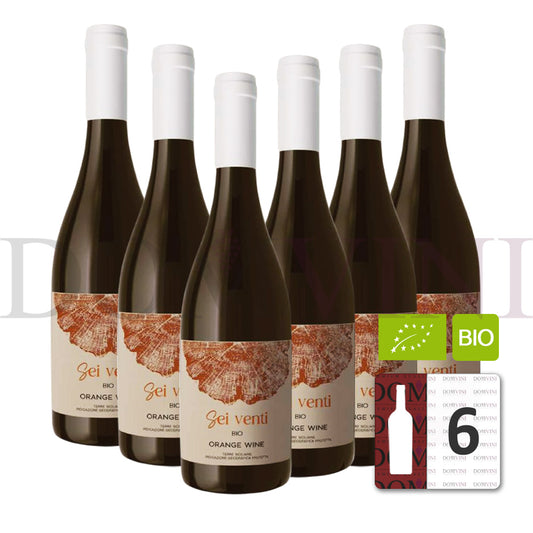 SEI VENTI "Orange" 2024 IGP Biowein - OCCIDUO - 6er Weinpaket