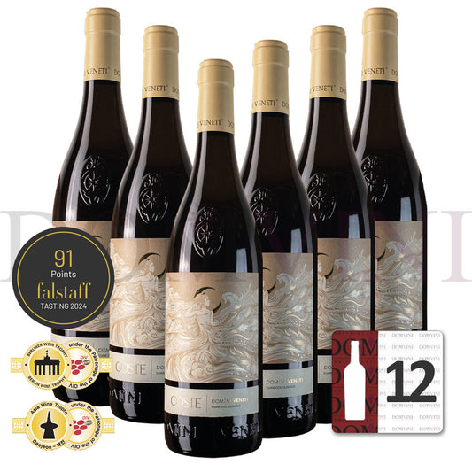 Soave DOC Classico Coste 2023, DOMINI VENETI - 12er Weinpaket
