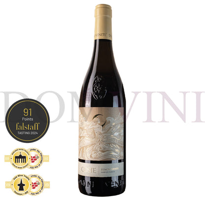 Soave DOC Classico Coste 2023, DOMINI VENETI