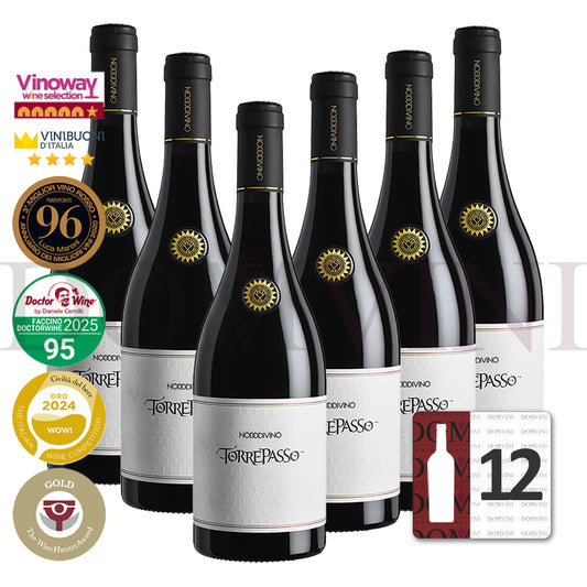 TORREPASSO Montepulciano d’Abruzzo DOC TEATE 2019 - NODODIVINO (12er Weinpaket)