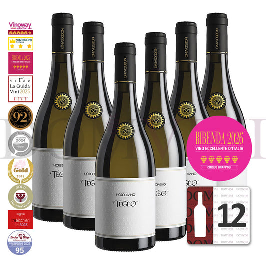 "TEGEO" Pecorino Abruzzo Superiore DOC 2022 | NODODIVINO (12er Weinpaket)