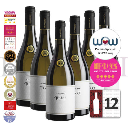 "TEGEO" Pecorino Abruzzo Superiore DOC 2022 | NODODIVINO (12er Weinpaket)