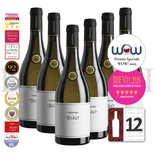 "TEGEO" Pecorino Abruzzo Superiore DOC 2022 | NODODIVINO (12er Weinpaket)