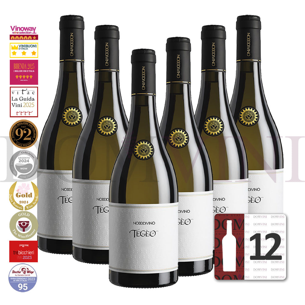 TEGEO Abruzzo DOC Pecorino Superiore 2022 - NODODIVINO (12er Weinpaket)
