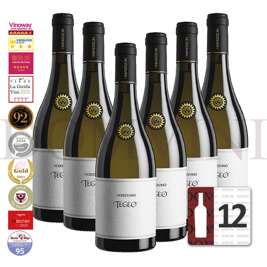TEGEO Abruzzo DOC Pecorino Superiore 2022 - NODODIVINO (12er Weinpaket)