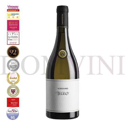 TEGEO Abruzzo DOC Pecorino Superiore 2022 - NODODIVINO