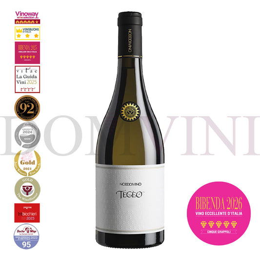 "TEGEO" Pecorino Abruzzo Superiore DOC 2022 | NODODIVINO