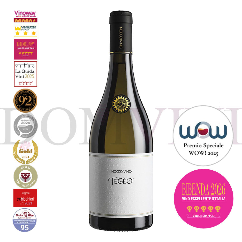 "TEGEO" Pecorino Abruzzo Superiore DOC 2022 | NODODIVINO