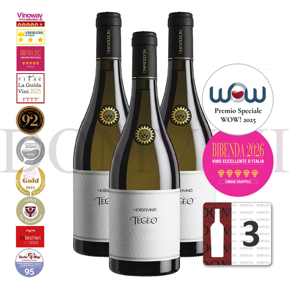 "TEGEO" Pecorino Abruzzo Superiore DOC 2022 | NODODIVINO (3er Weinpaket)