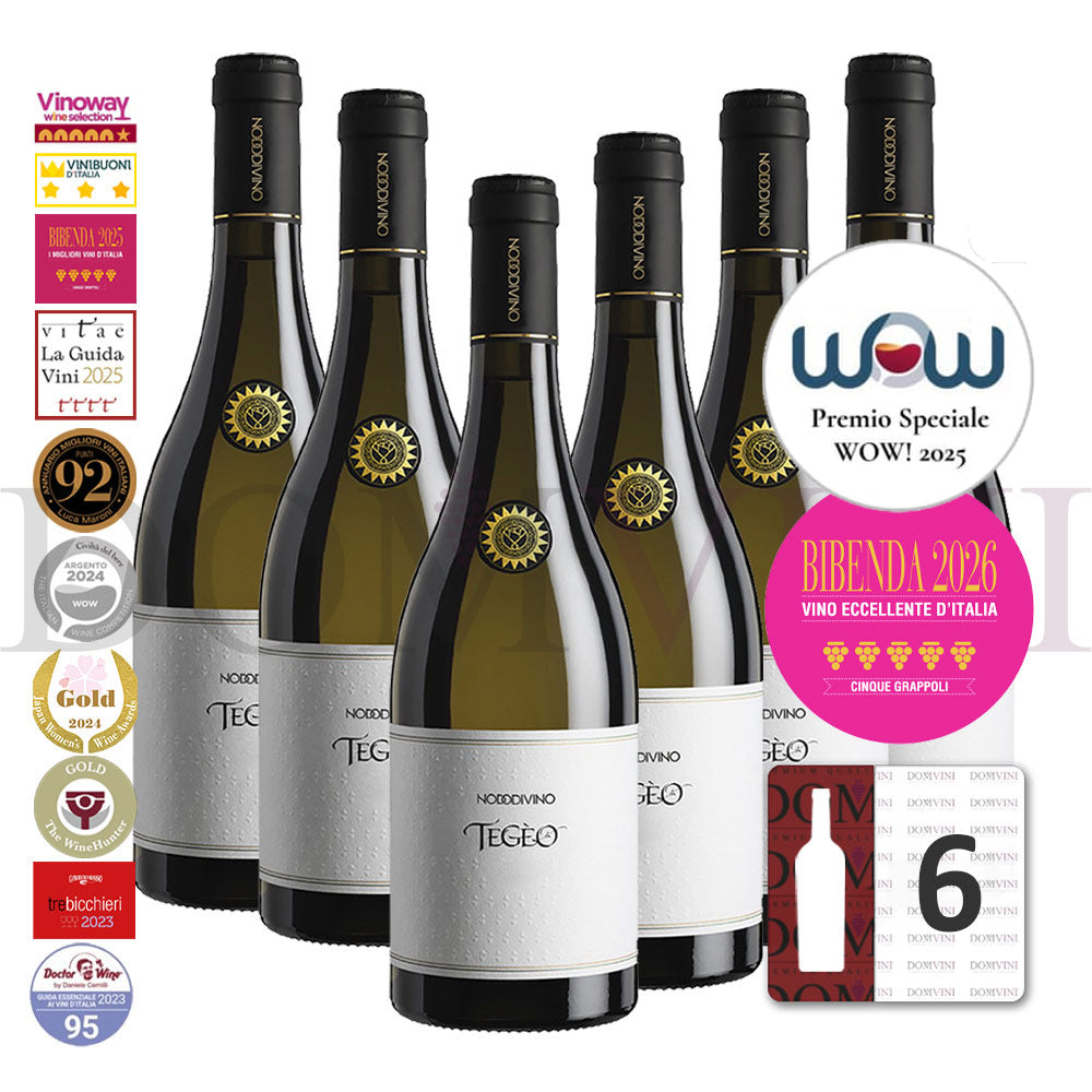 "TEGEO" Pecorino Abruzzo Superiore DOC 2022 | NODODIVINO (6er Weinpaket)