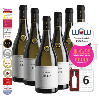 "TEGEO" Pecorino Abruzzo Superiore DOC 2022 | NODODIVINO (6er Weinpaket)