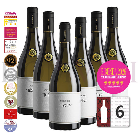 "TEGEO" Pecorino Abruzzo Superiore DOC 2022 | NODODIVINO (6er Weinpaket)