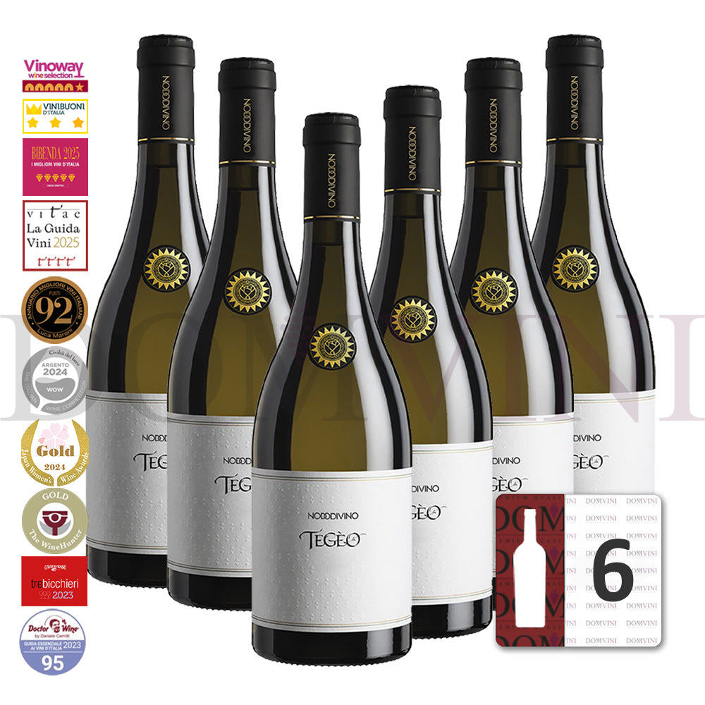 TEGEO Abruzzo DOC Pecorino Superiore 2022 - NODODIVINO (6er Weinpaket)
