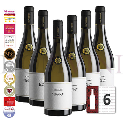 TEGEO Abruzzo DOC Pecorino Superiore 2022 - NODODIVINO (6er Weinpaket)