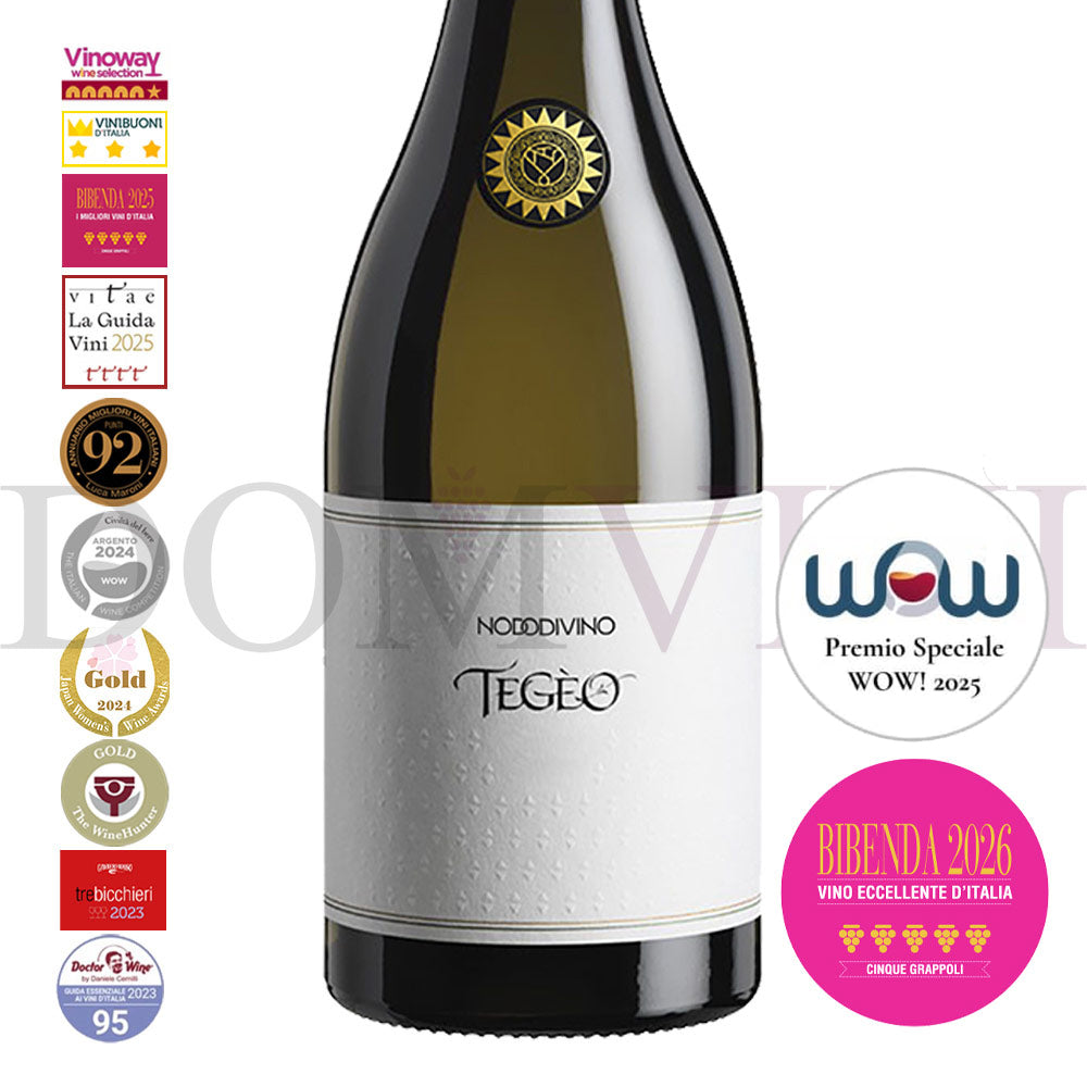 "TEGEO" Pecorino Abruzzo Superiore DOC 2022 | NODODIVINO (12er Weinpaket)