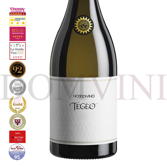 TEGEO Abruzzo DOC Pecorino Superiore 2022 - NODODIVINO